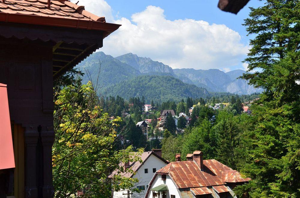 Vila Arizto Sinaia Dış mekan fotoğraf