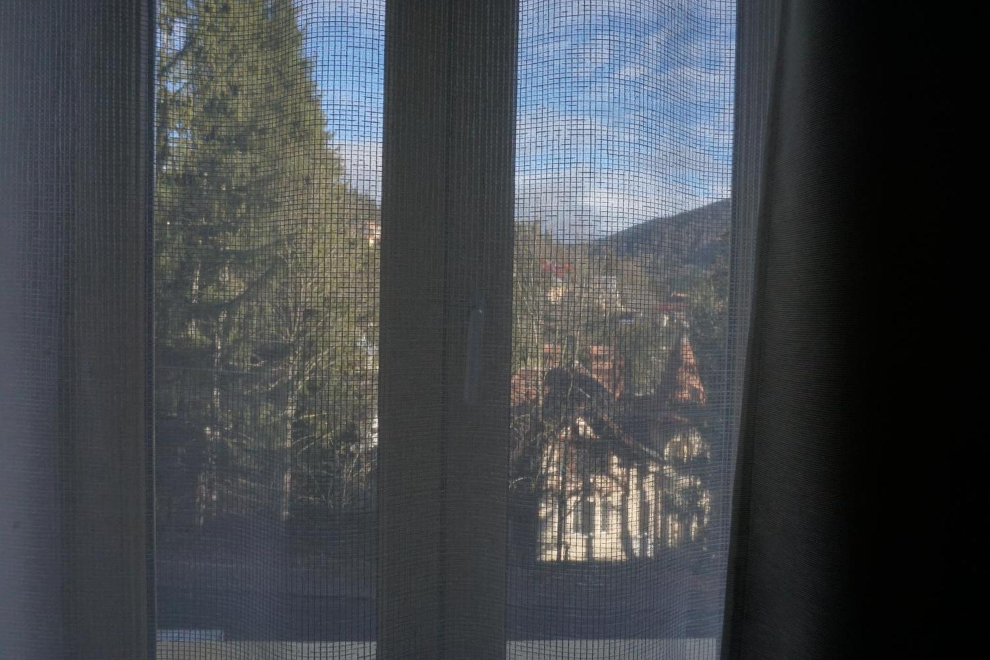 Vila Arizto Sinaia Oda fotoğraf