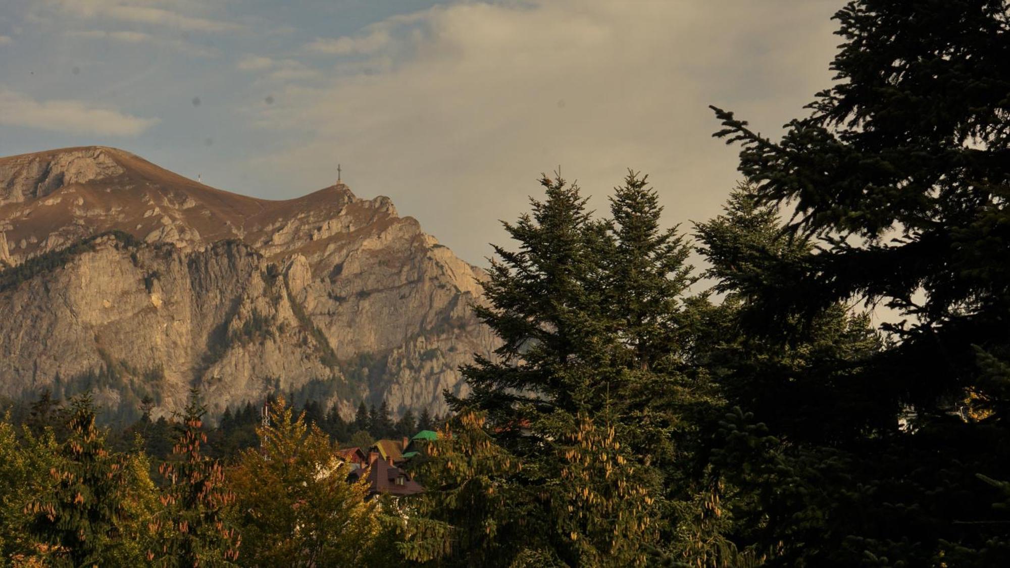 Vila Arizto Sinaia Oda fotoğraf