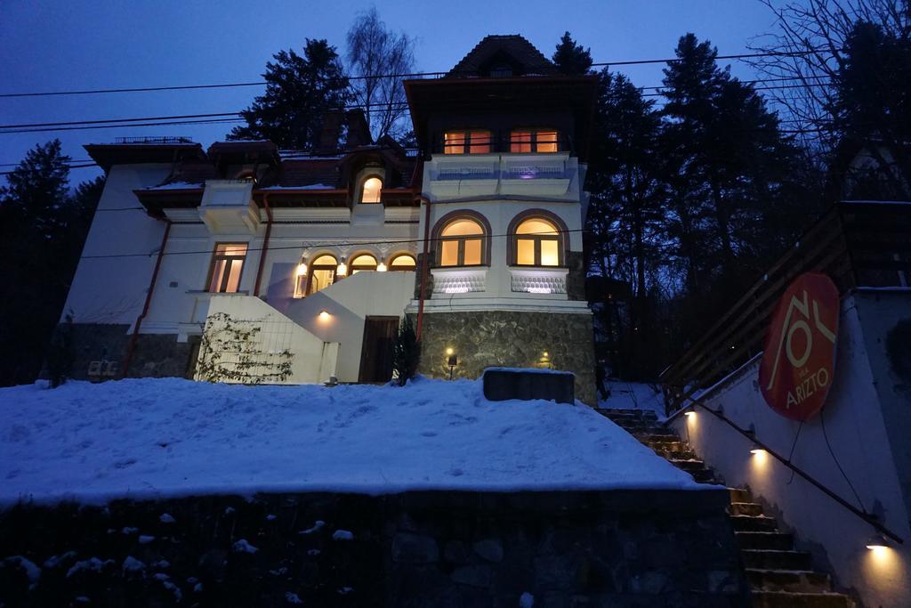 Vila Arizto Sinaia Dış mekan fotoğraf