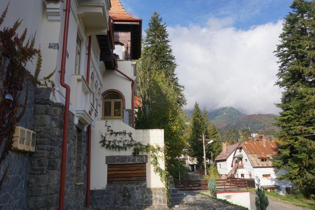 Vila Arizto Sinaia Dış mekan fotoğraf
