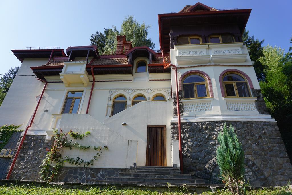 Vila Arizto Sinaia Dış mekan fotoğraf