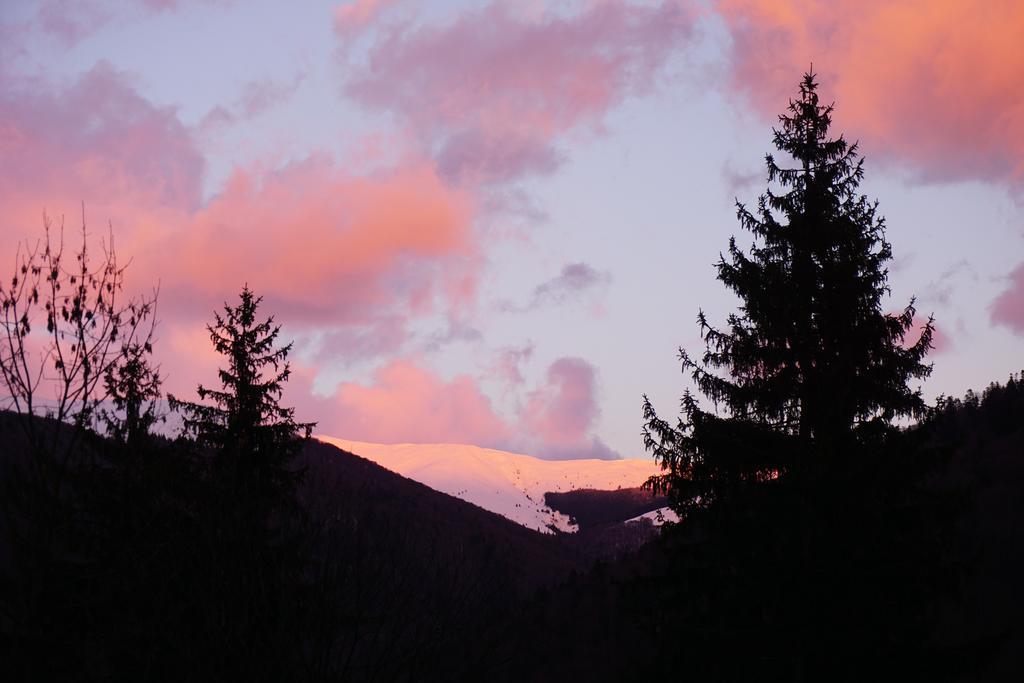 Vila Arizto Sinaia Dış mekan fotoğraf