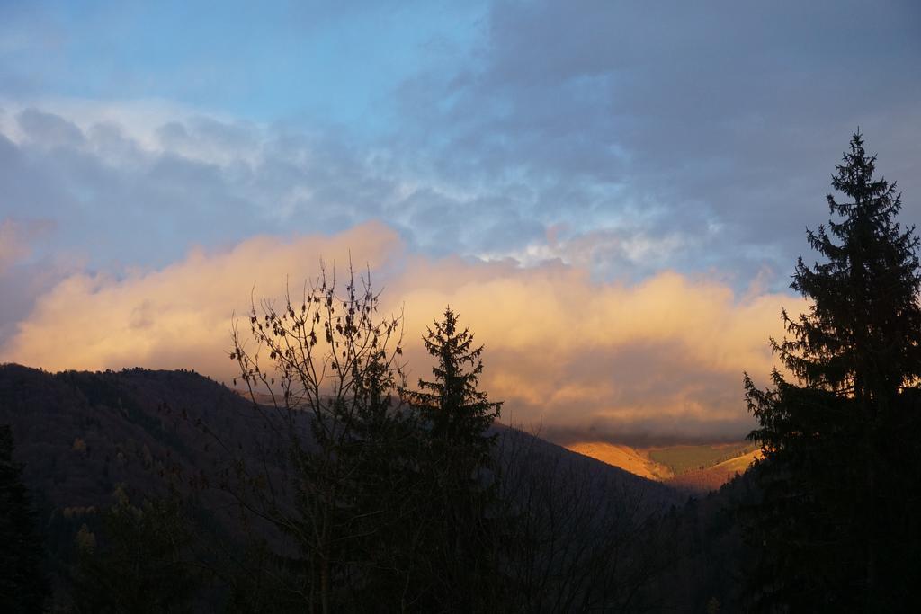 Vila Arizto Sinaia Dış mekan fotoğraf