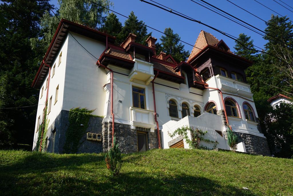 Vila Arizto Sinaia Dış mekan fotoğraf