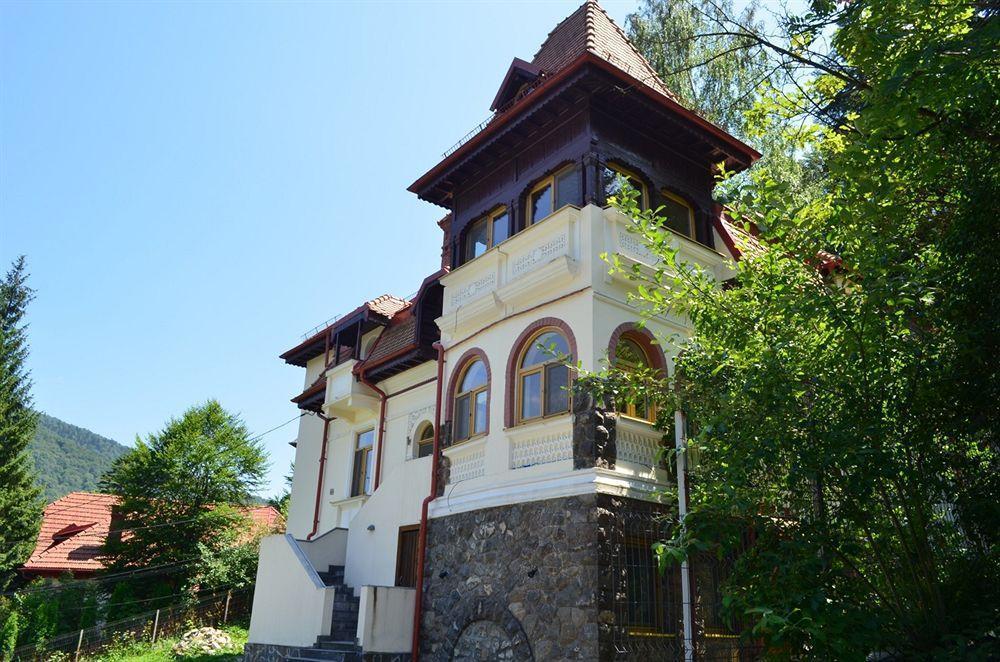 Vila Arizto Sinaia Dış mekan fotoğraf