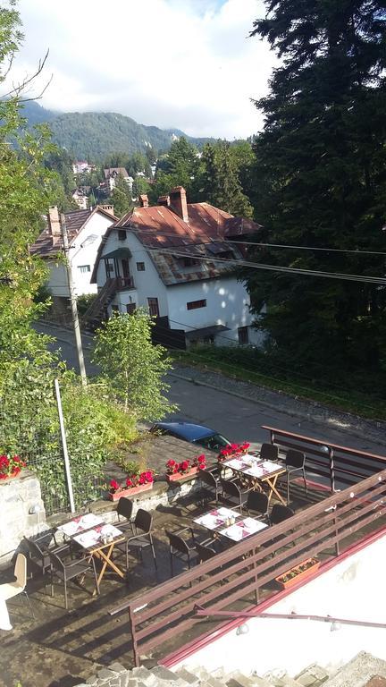 Vila Arizto Sinaia Dış mekan fotoğraf