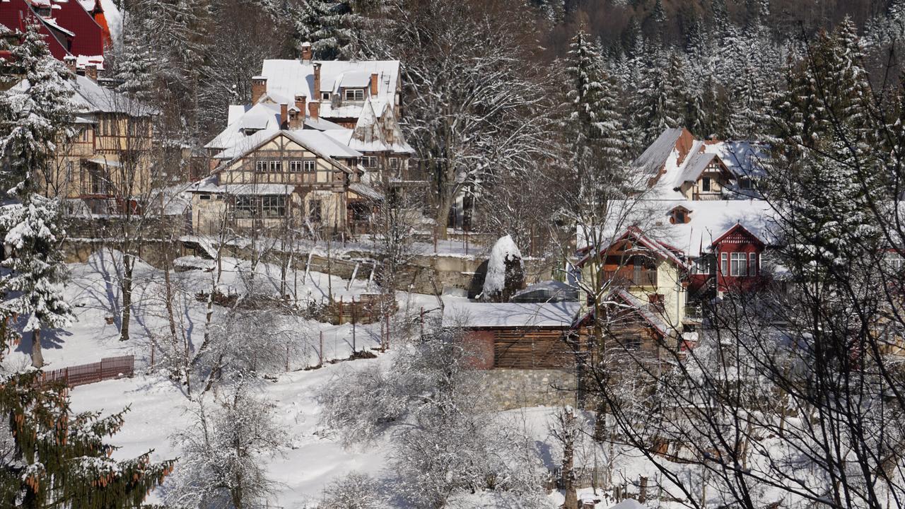 Vila Arizto Sinaia Dış mekan fotoğraf