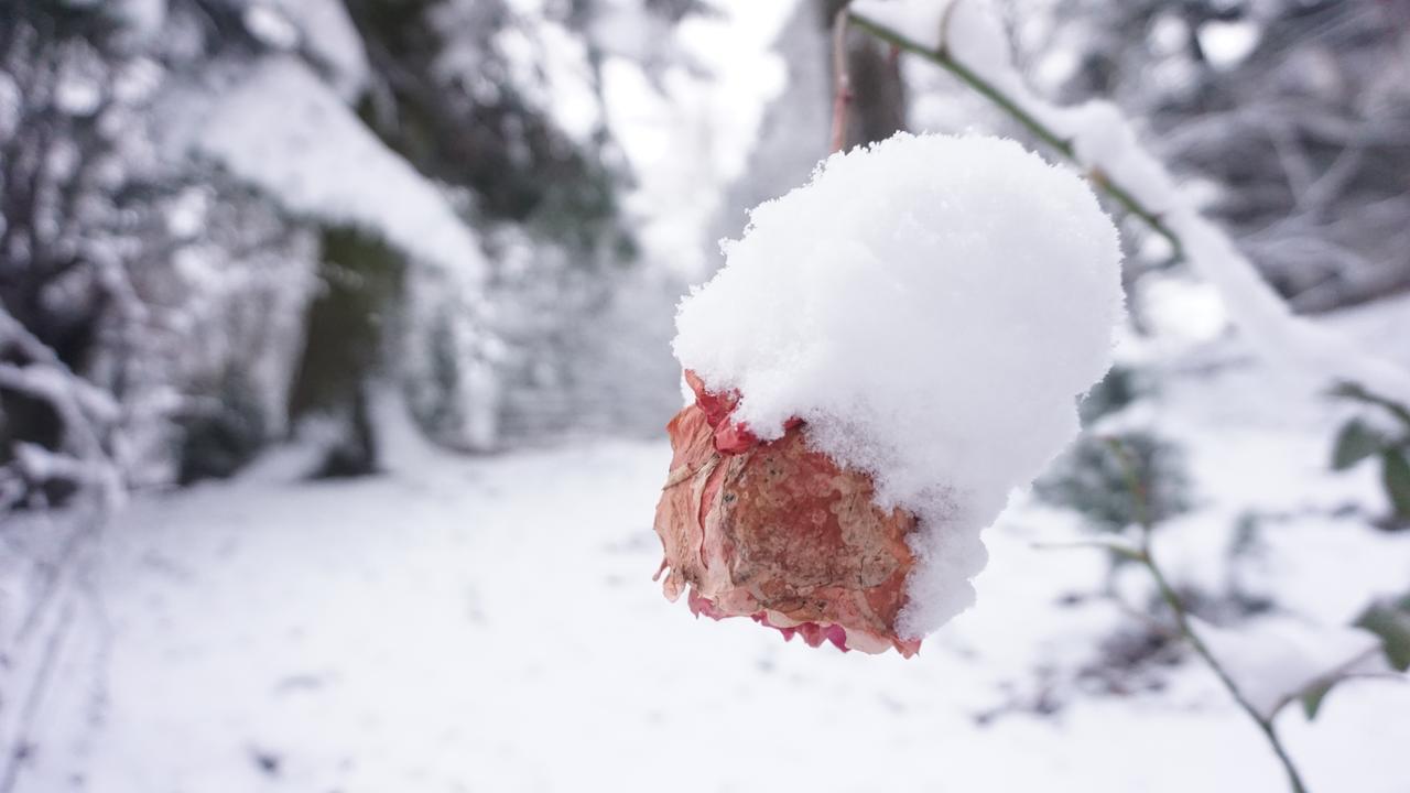 Vila Arizto Sinaia Dış mekan fotoğraf